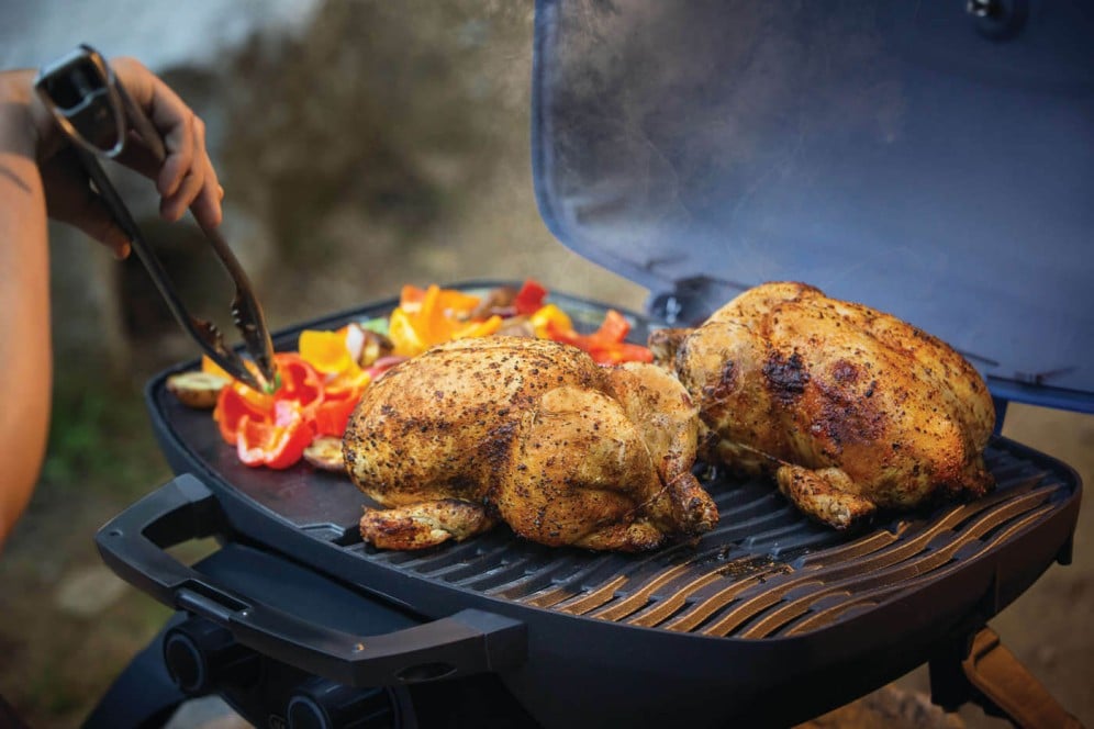 Napoleon TravelQโข 285 Portable Gas Grill Blue - Image 9